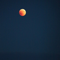 40years - A_kiss_for_40_years_of_radiating_Divine_Love_SS_077.jpg